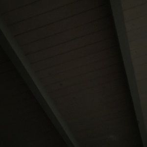 Meet your Posher, Toby